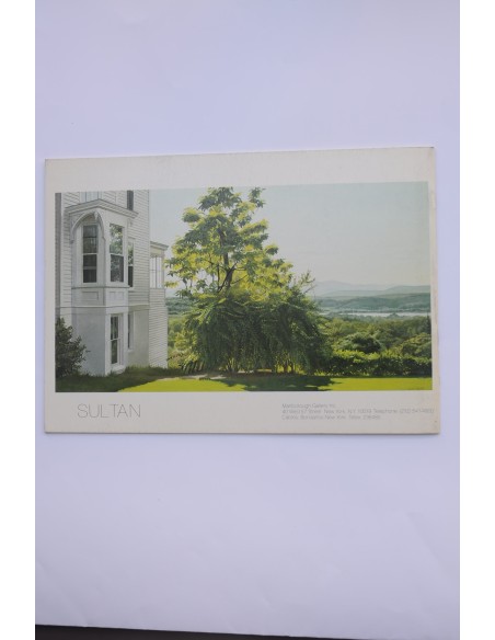 Altoon Sultan. Recent work. Catálogo. Marlborough, 1982