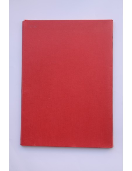 Mimmo Paladino. Hundert  tage für Salzburg. Catálogo de exposiciones, London, Waddington Galleries,1984