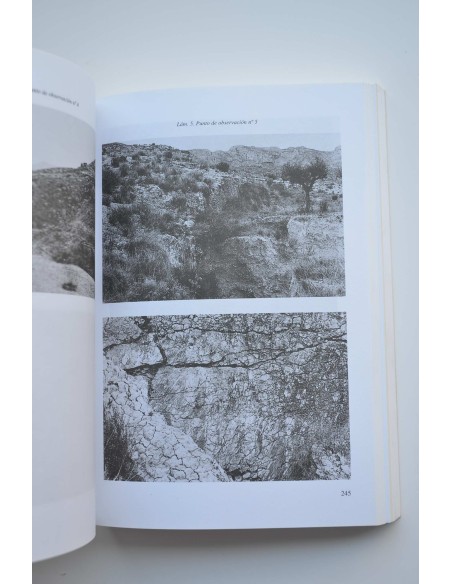 El balneario romano y la Cueva Negra de Fortuna (Murcia) : homenaje al profesor PH. Rahtz