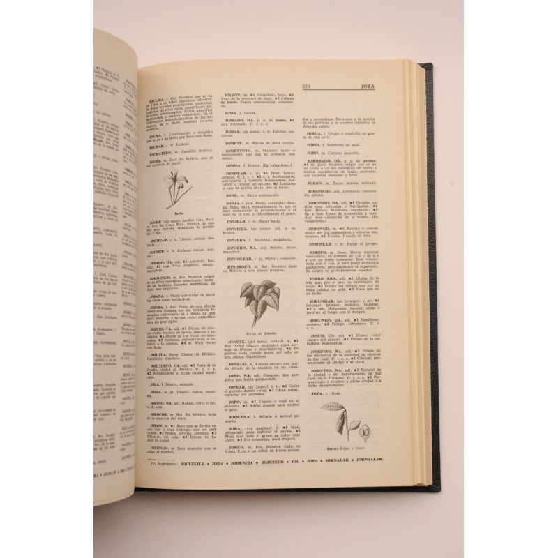Americanismos. Diccionario ilustrado Sopena