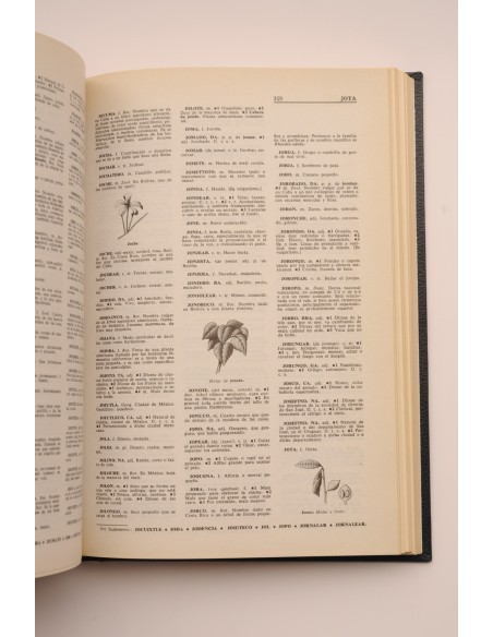 Americanismos. Diccionario ilustrado Sopena