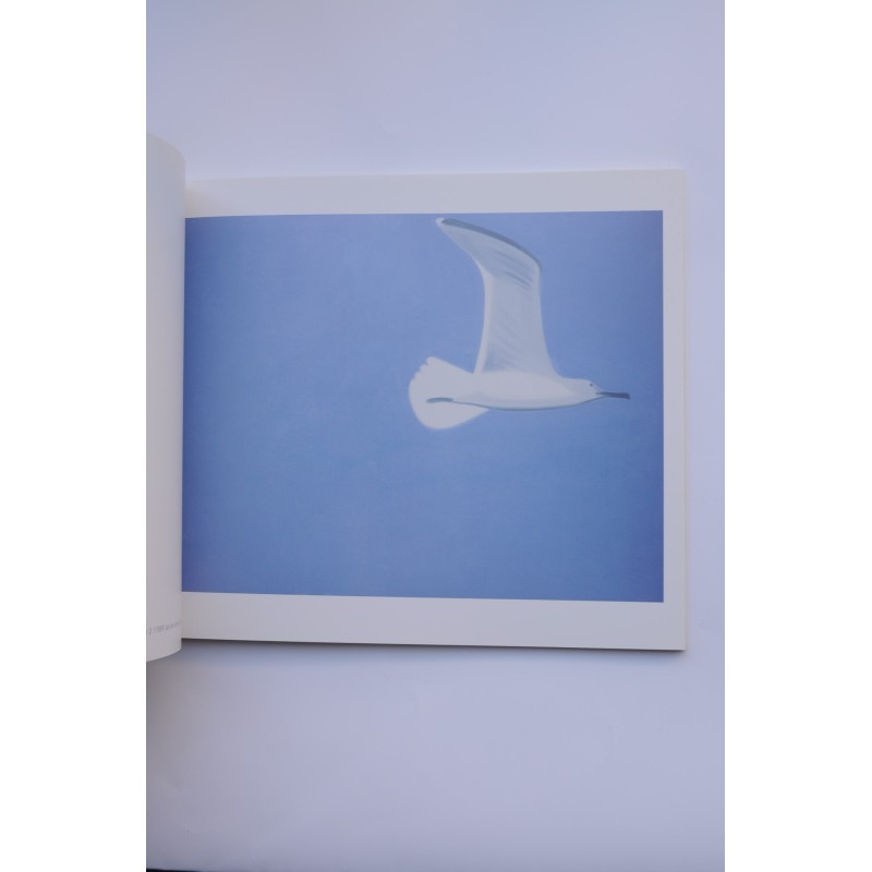 Alex Katz 