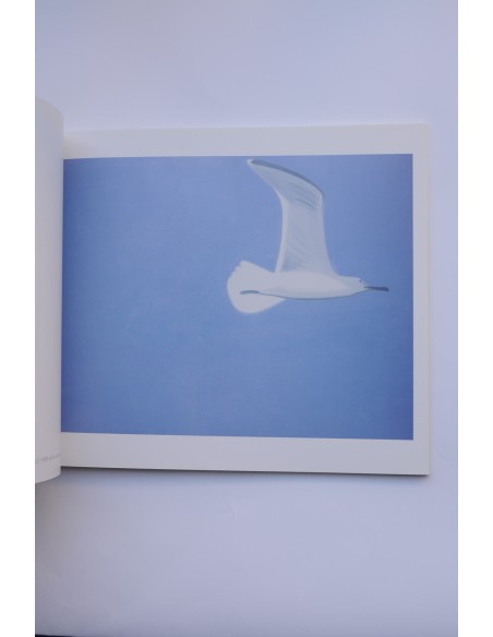 Alex Katz 