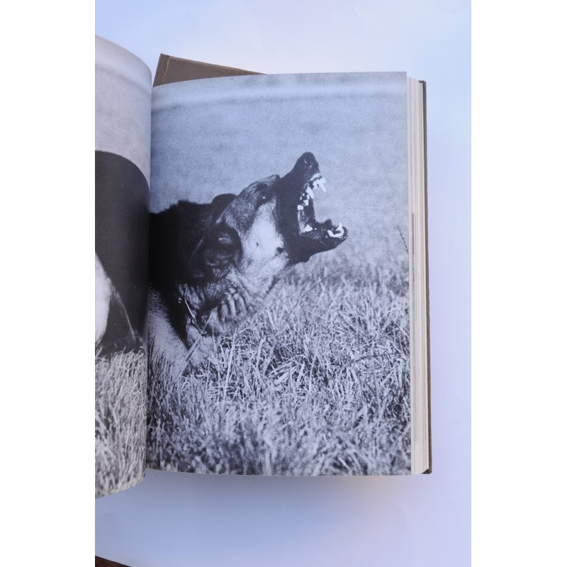 Enciclopedia del perro