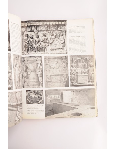 El nacimiento de la civilización occidental. Grecia y Roma