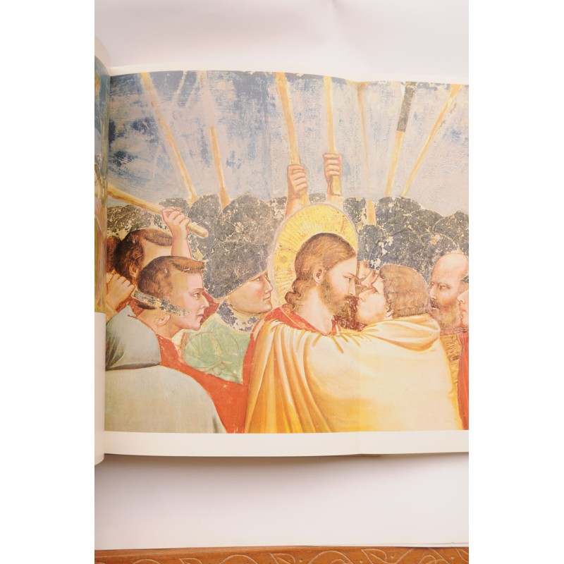 20.000 años de pintura