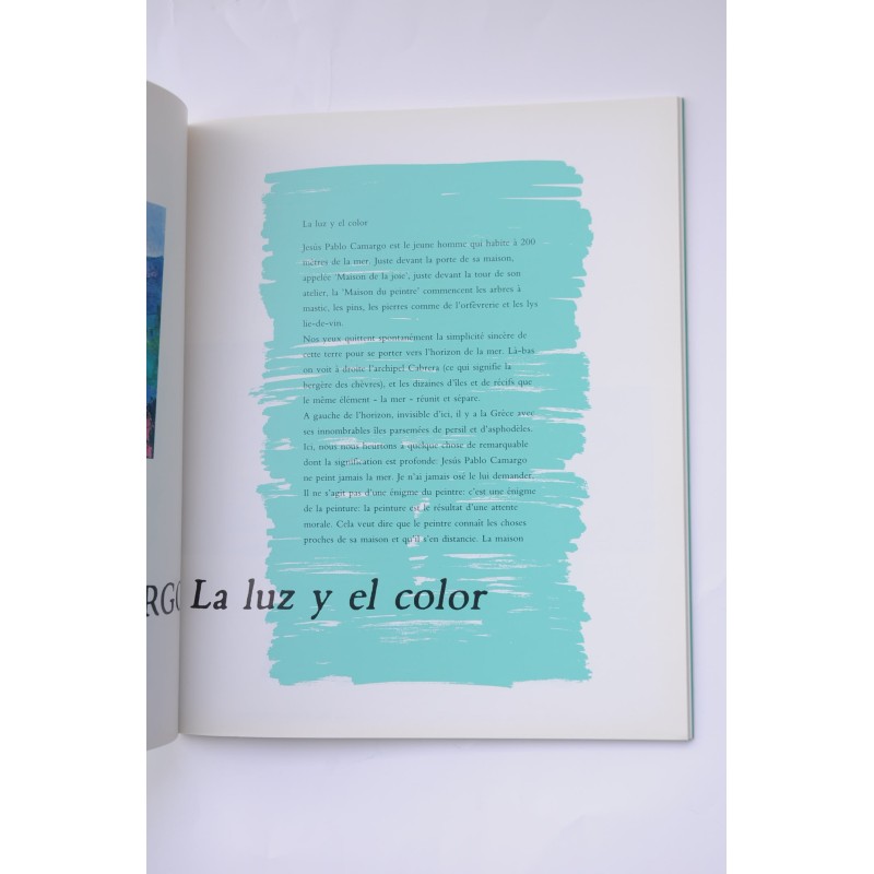Camargo. La luz y el color