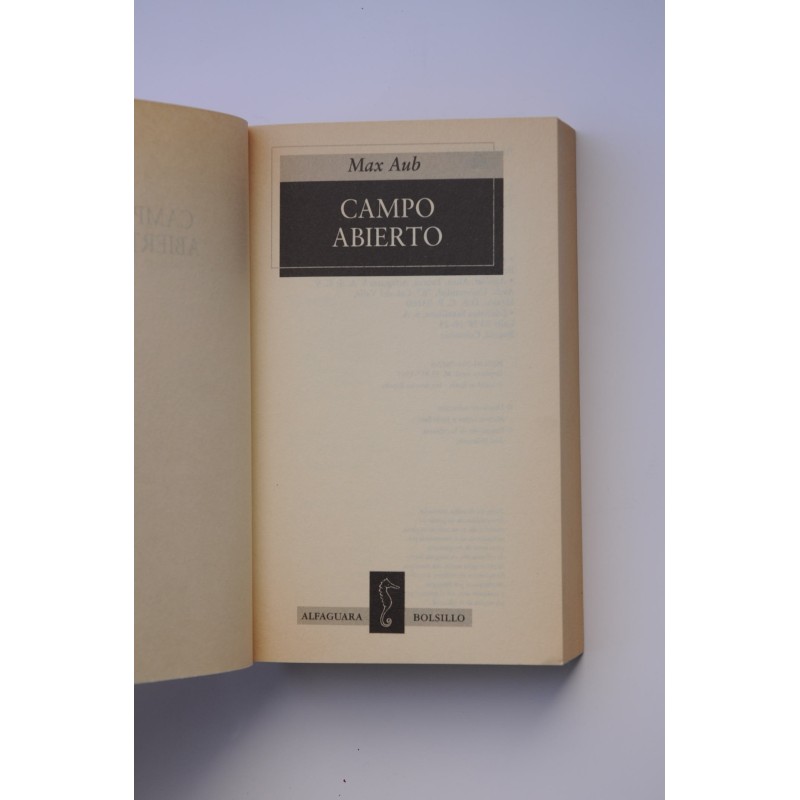 El laberinto mágico. Campo abierto