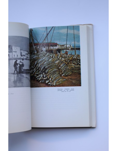 Un turista en África