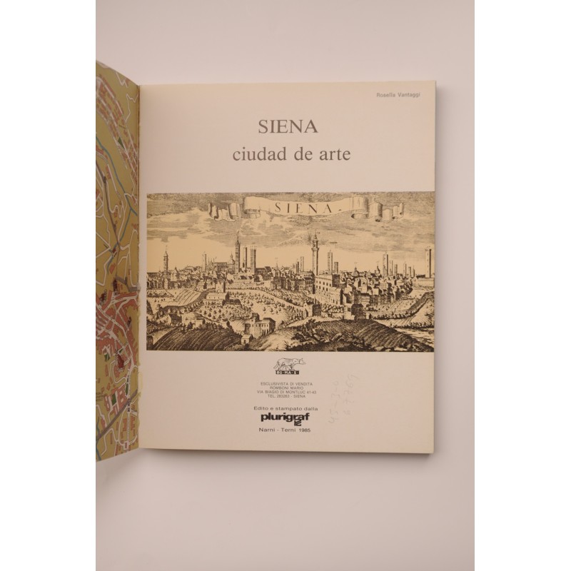 Siena ciudad de arte