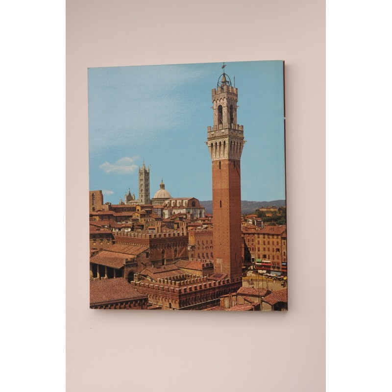 Siena ciudad de arte