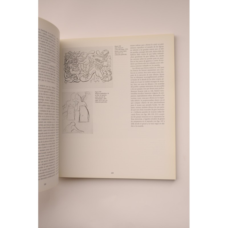 Diego Rivera : Retrospectiva