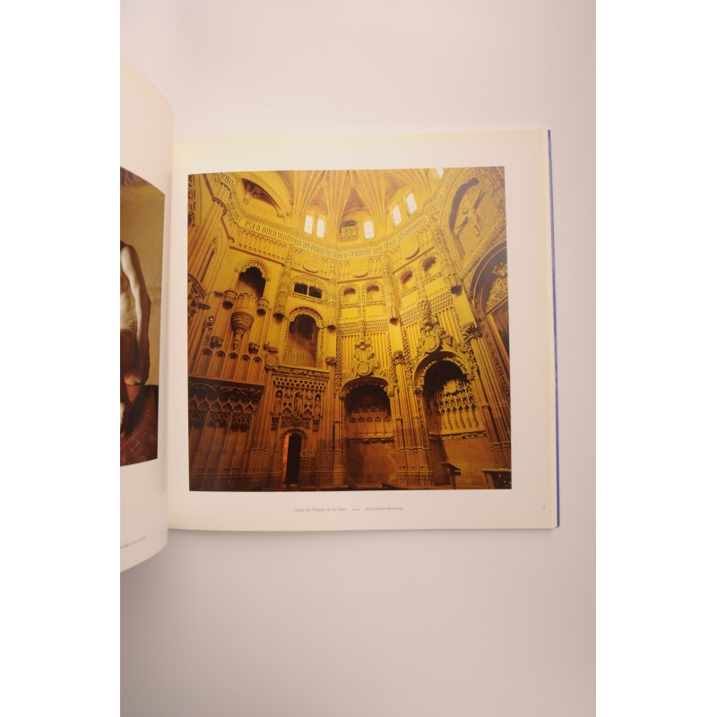 La Catedral de Murcia. Sexto Centenario 1394-1994