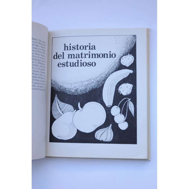 Cuentos para la niña del retrato