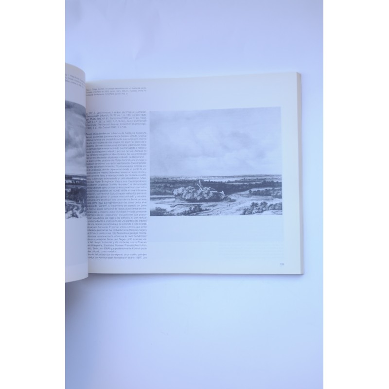 El Siglo de Oro del paisaje Holandés