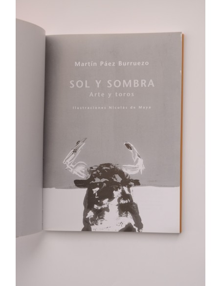Sol y Sombra. Arte y toros
