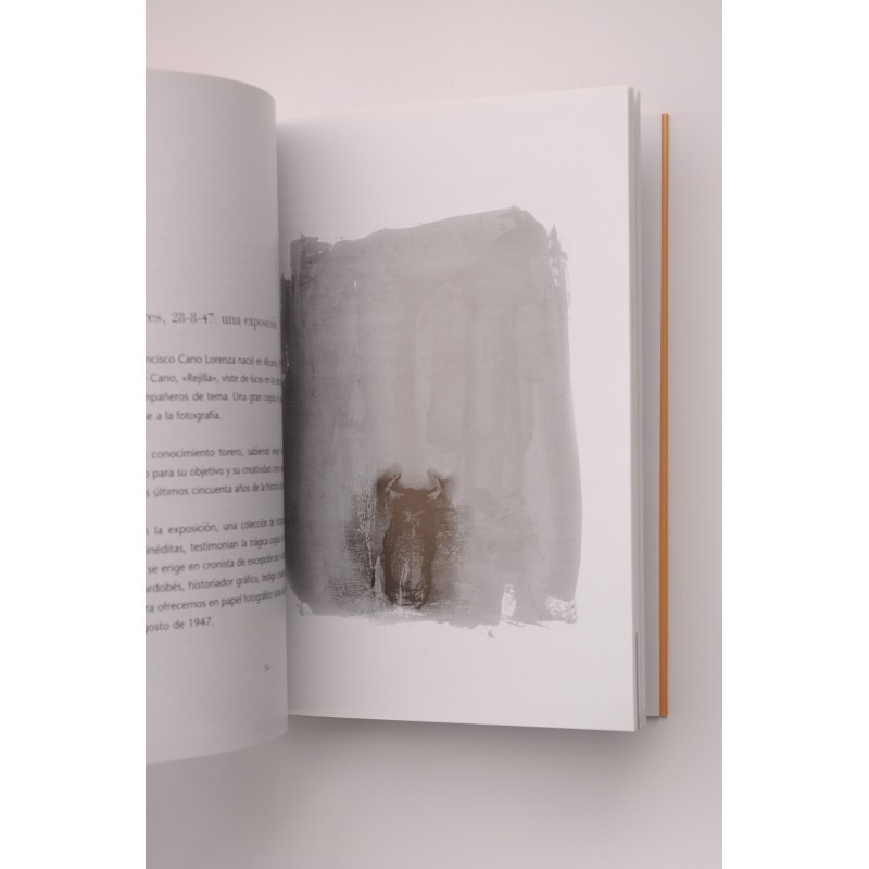 Sol y Sombra. Arte y toros