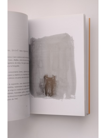 Sol y Sombra. Arte y toros