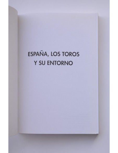 España, los toros y sus entorno