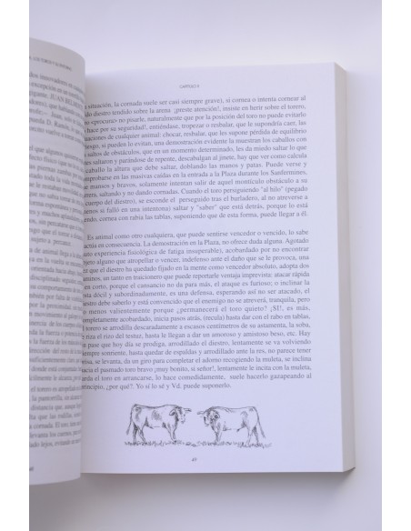 España, los toros y sus entorno