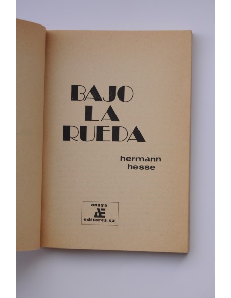 Bajo la rueda