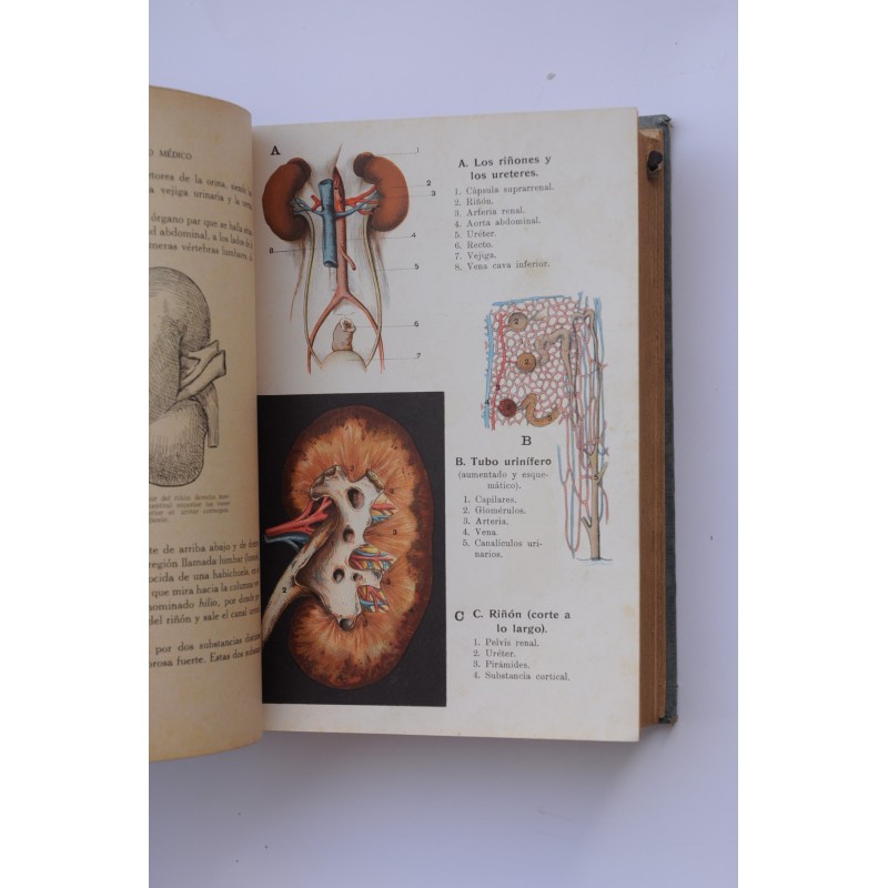 Nuestro médico : consultor médico de las familias