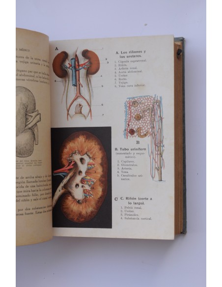 Nuestro médico : consultor médico de las familias