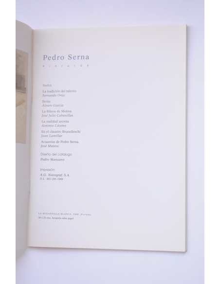 Pedro Serna. Pinturas
