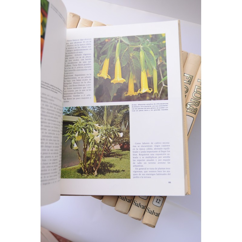 Flora. Enciclopedia Salvat de jardinería