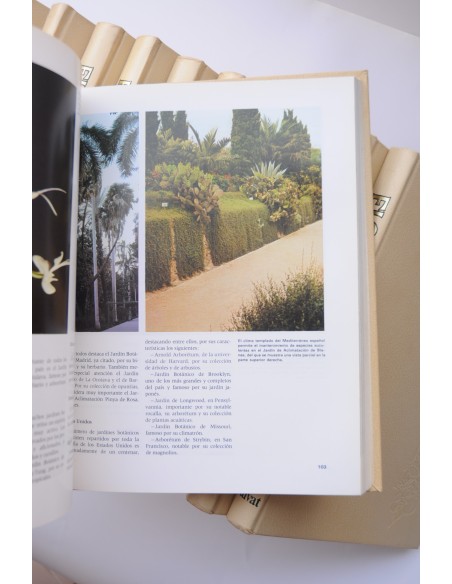 Flora. Enciclopedia Salvat de jardinería