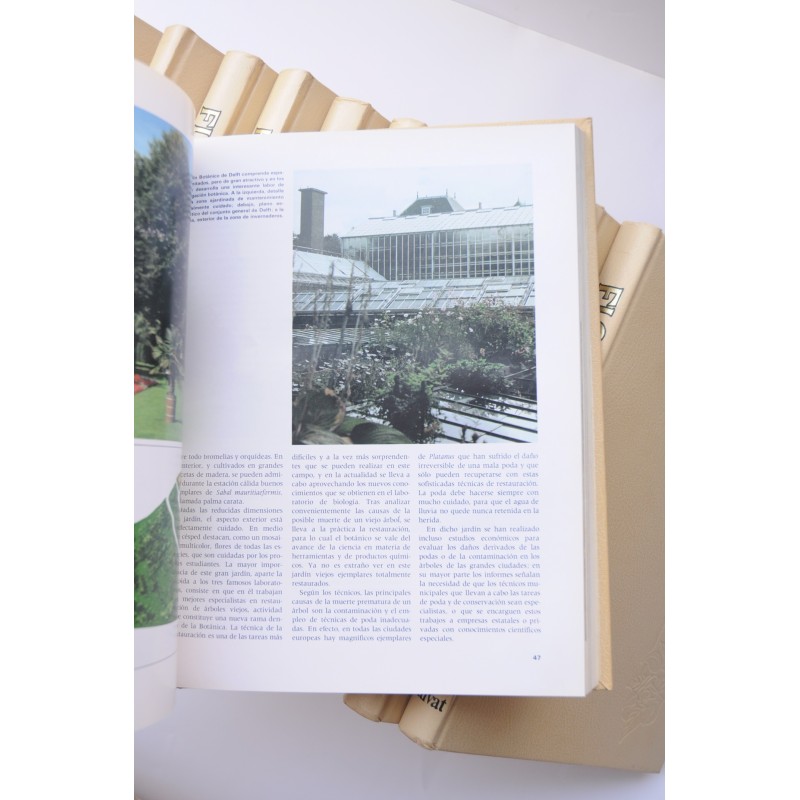 Flora. Enciclopedia Salvat de jardinería