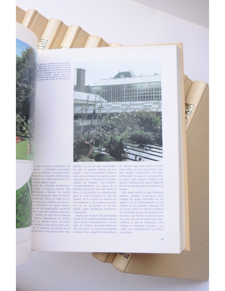 Flora. Enciclopedia Salvat de jardinería