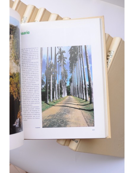 Flora. Enciclopedia Salvat de jardinería