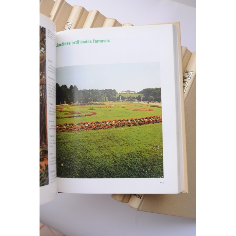 Flora. Enciclopedia Salvat de jardinería
