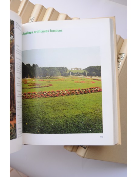 Flora. Enciclopedia Salvat de jardinería