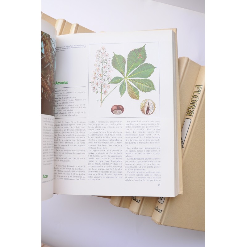 Flora. Enciclopedia Salvat de jardinería