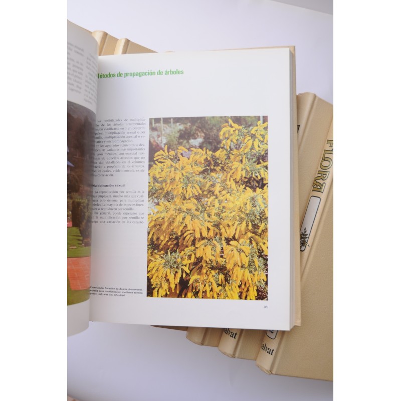 Flora. Enciclopedia Salvat de jardinería