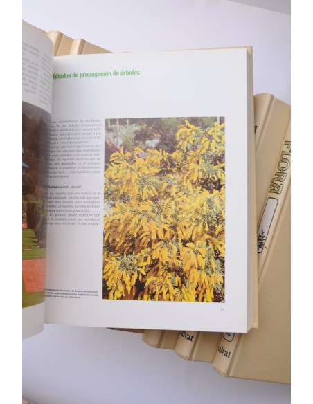Flora. Enciclopedia Salvat de jardinería