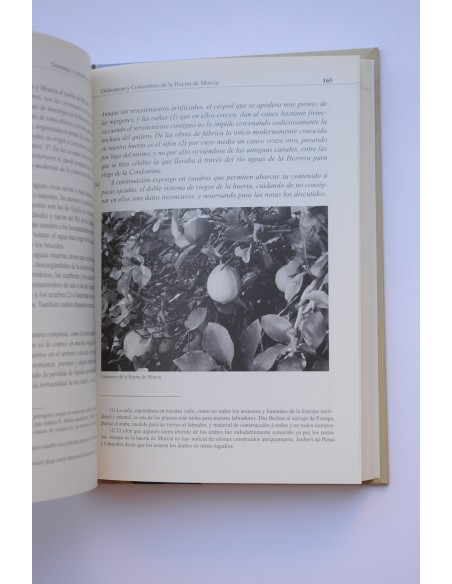 Ordenanzas y costumbres de la Huerta de Murcia , 1849 - 2008