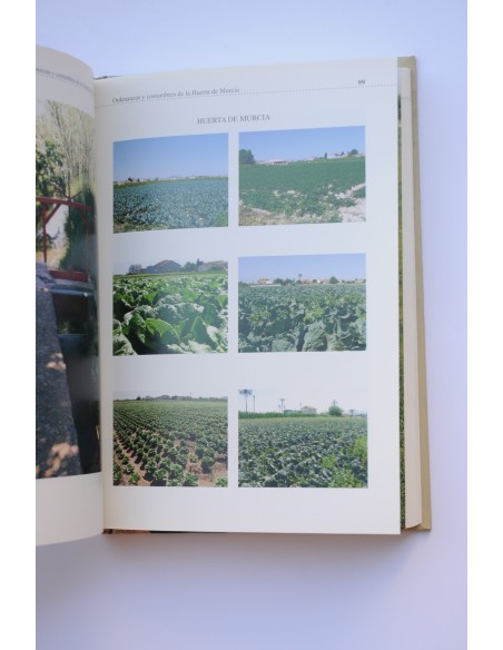 Ordenanzas y costumbres de la Huerta de Murcia , 1849 - 2008