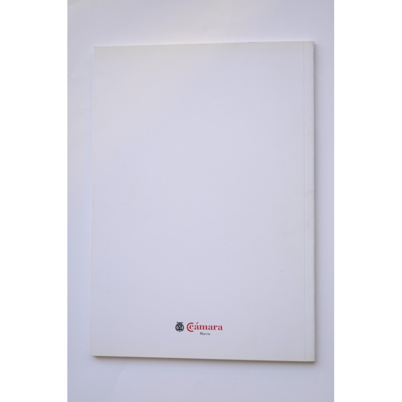 XII Premio Cámara de Murcia. Premio de Pintura...