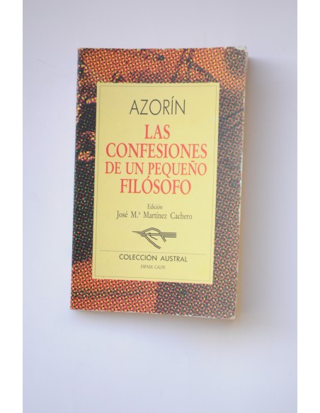 las confesiones de un pequeño filósofo