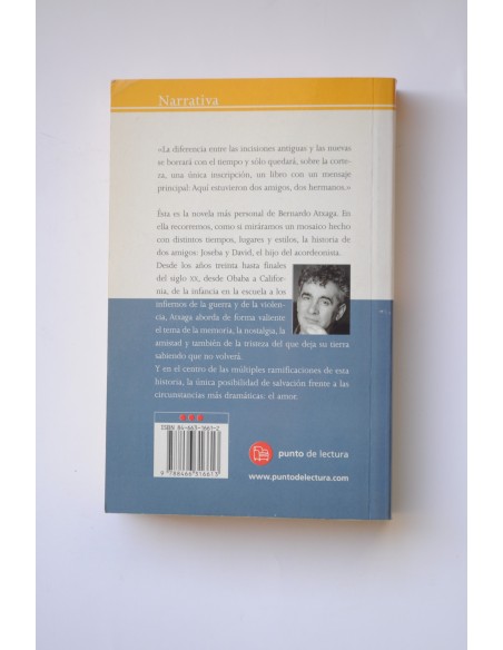 El hijo del acordeonista