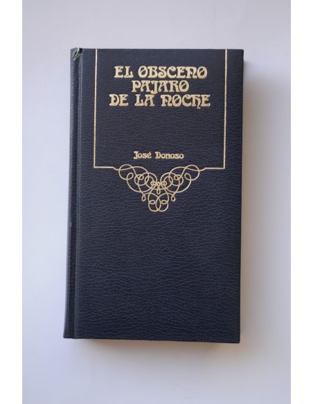 El obsceno pájaro de la noche