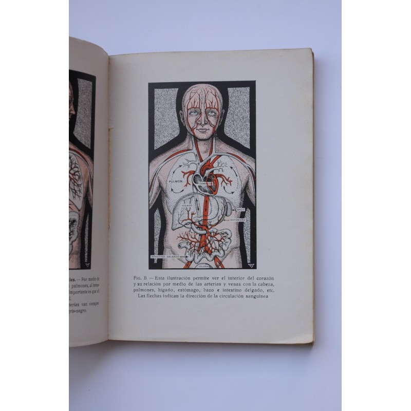 Cómo prolongar la juventud y curar la...