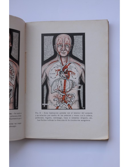 Cómo prolongar la juventud y curar la arterioesclerosis