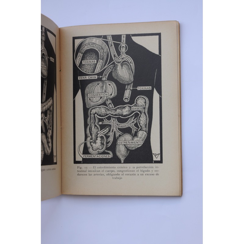 Cómo prolongar la juventud y curar la...