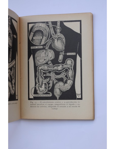 Cómo prolongar la juventud y curar la arterioesclerosis