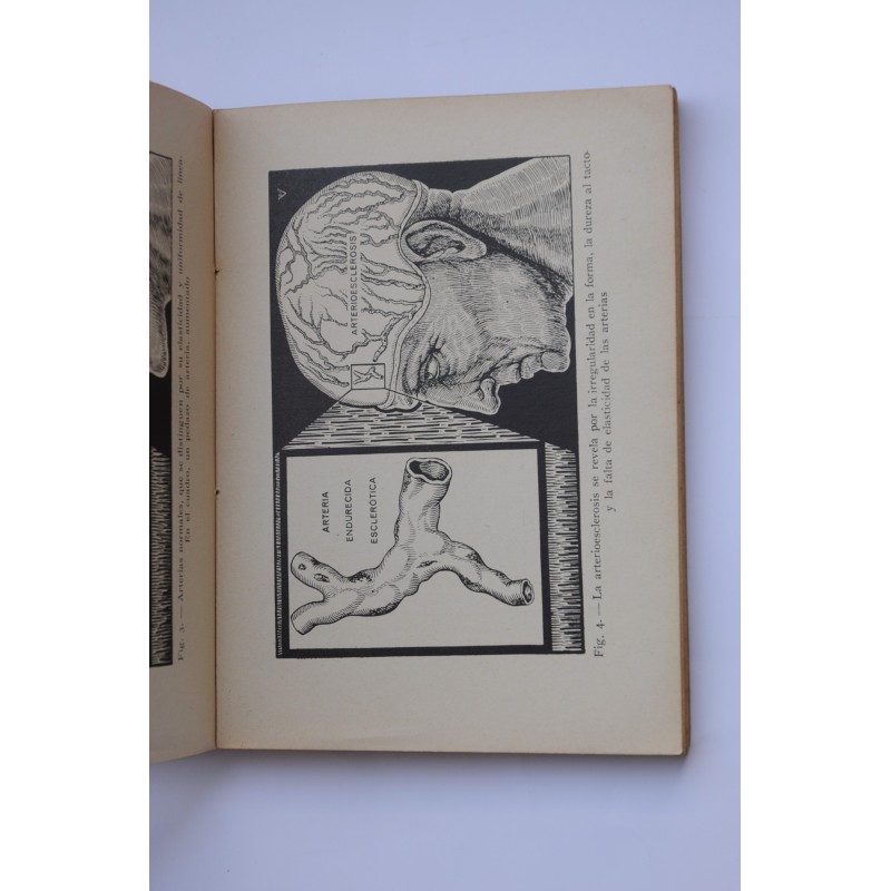 Cómo prolongar la juventud y curar la...