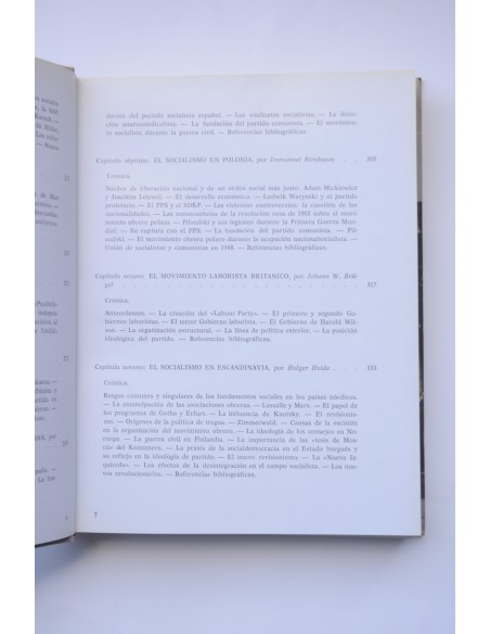 El Socialismo. De la lucha de clases al estado de providencia